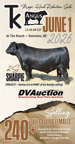 TK Angus Sale Book thumbnail